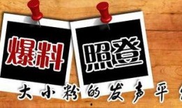 重庆李先生最新爆料,揭秘XX事件背后惊人真相
