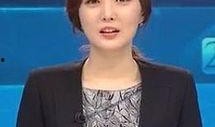 刘昕韩国最新爆料新闻视频,最新爆料视频深度解析