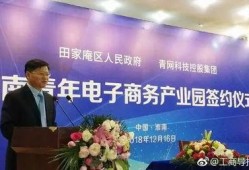 鸿阜园最新爆料新闻报道,揭秘园区发展背后的故事与挑战